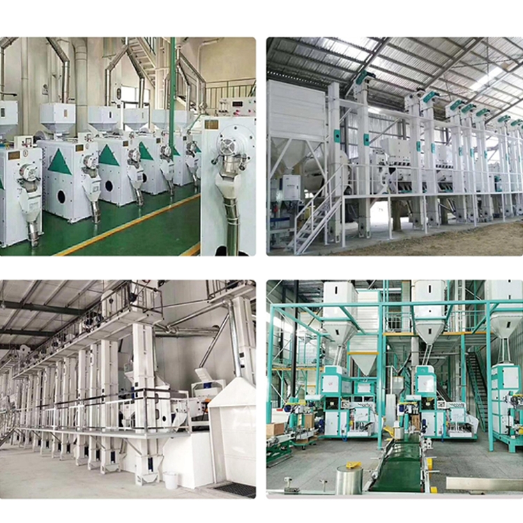 Rice processing equipment
