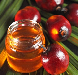 棕櫚油精煉和分提之間有什么關(guān)聯(lián)？