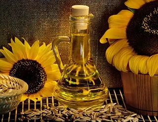 如何提取葵花籽油？華泰油脂設(shè)備廠家為您解答