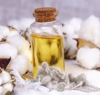 為什么要對(duì)棉籽油進(jìn)行精煉處理？