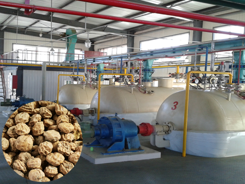 油莎豆生產(chǎn)線解決方案