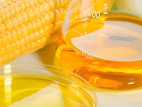 玉米油生產(chǎn)線方案