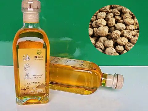 油莎豆生產(chǎn)線解決方案