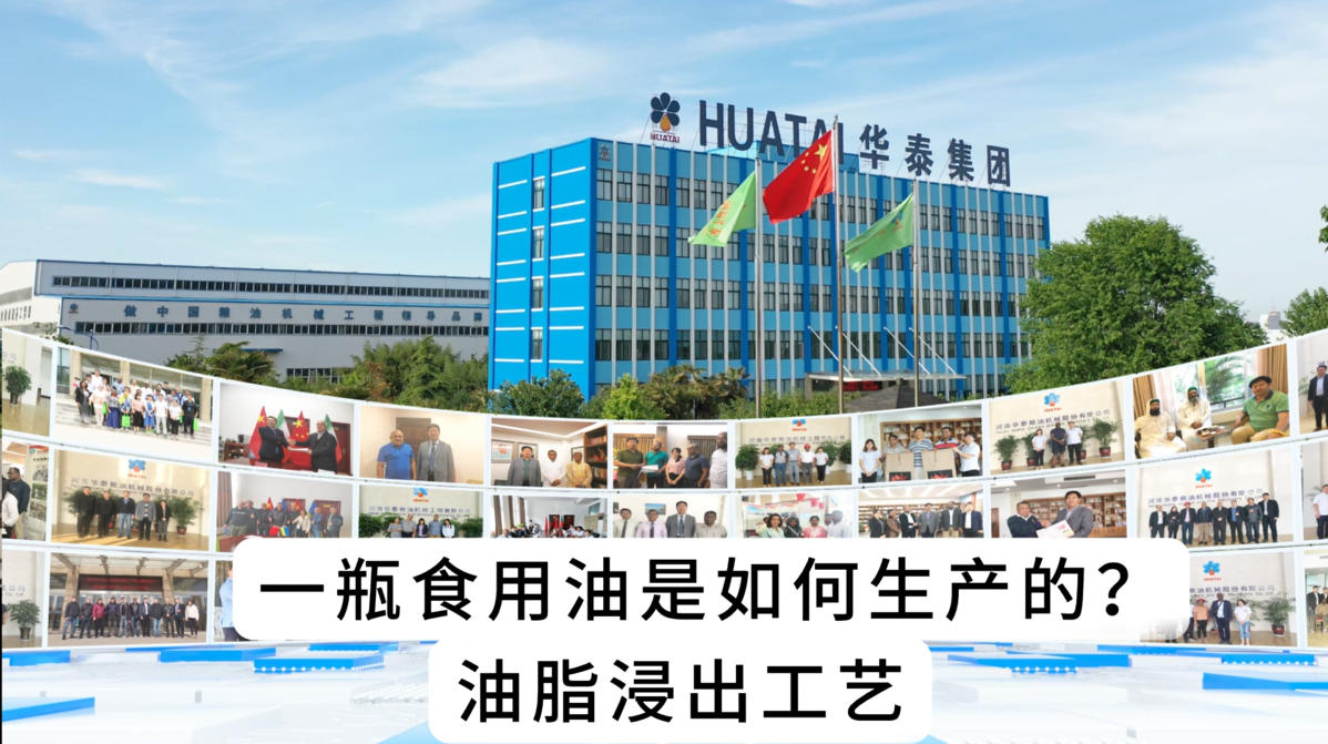 一瓶食用油是如何生產(chǎn)的？油脂浸出工藝詳細(xì)介紹