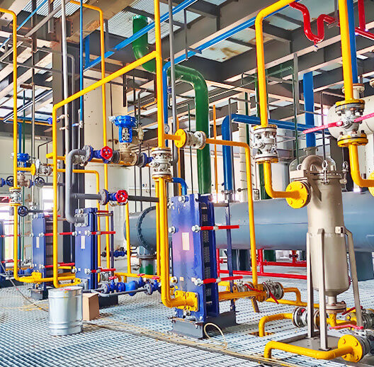 油莎豆油加工工藝